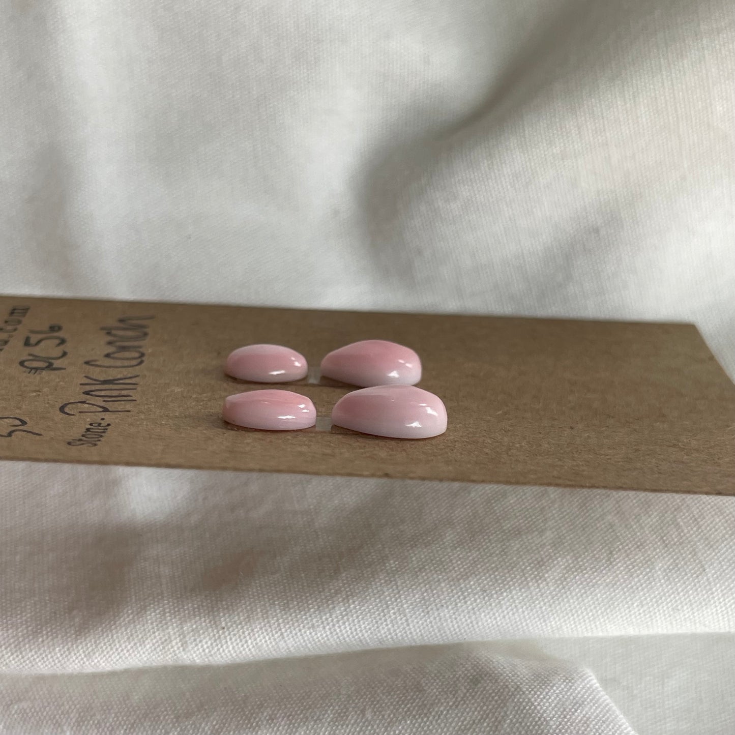 Pink Conch Cabochon - PC56