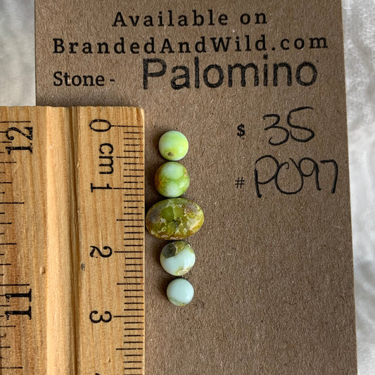 Palomino Cabochon - P097