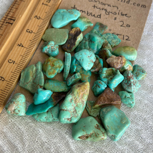 Rough Tumbled Sonoran Gold Turquoise - #ST12