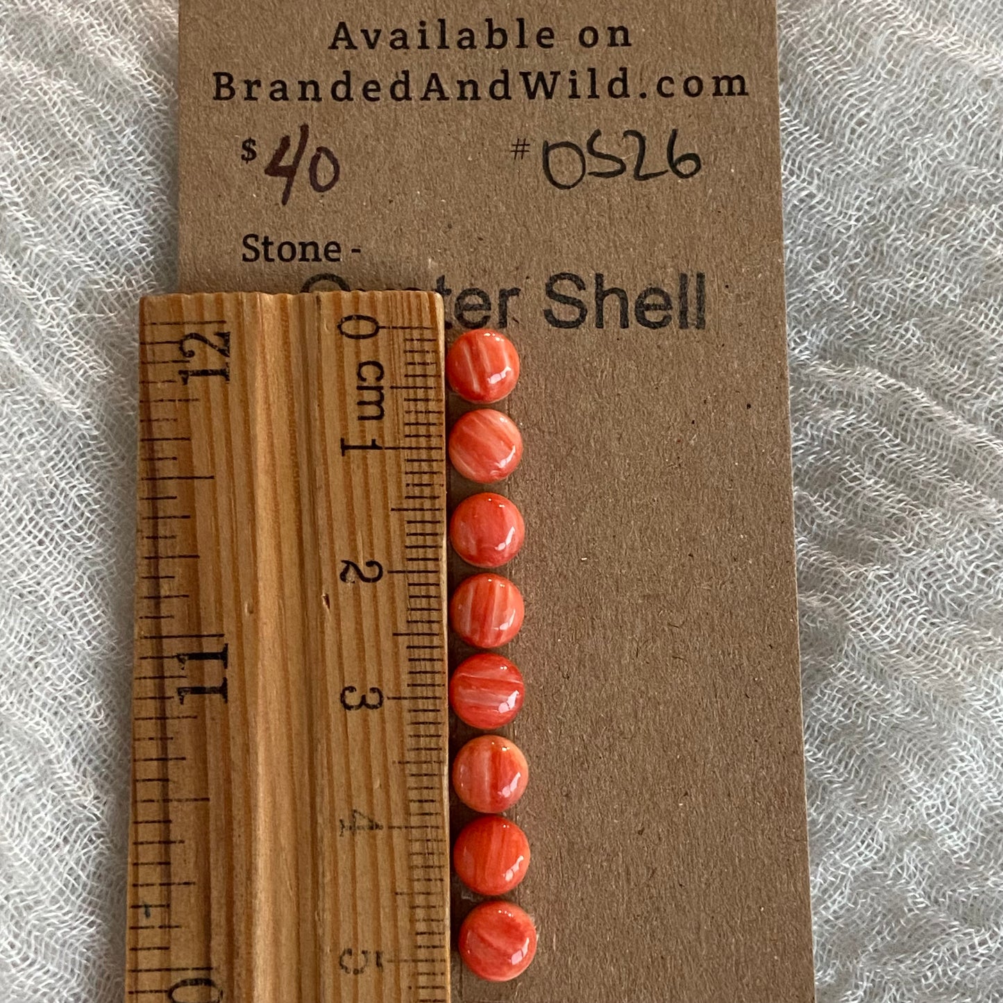 Oyster Shell Cabochon - OS26