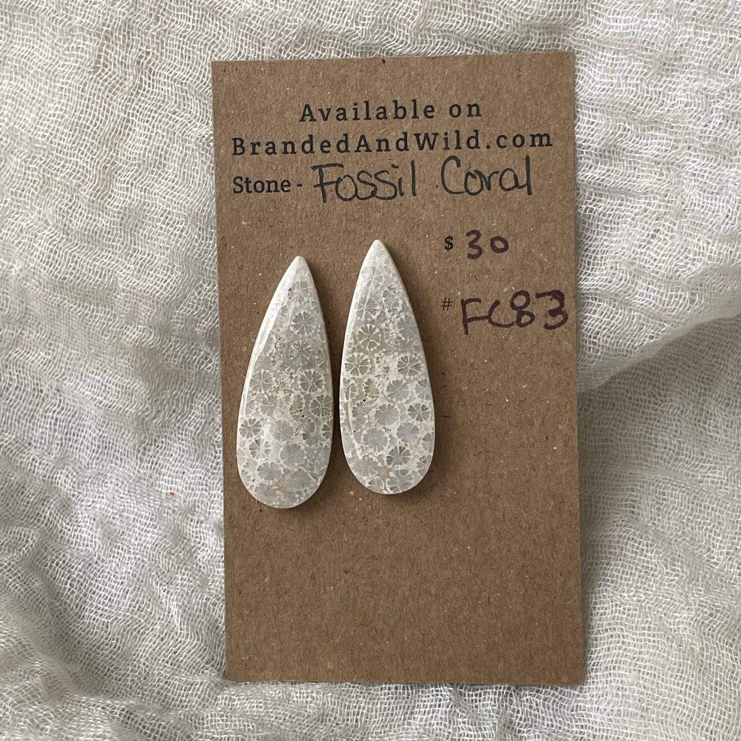 Fossil Coral Cabochon - FC83 06B8CE80-0DEB-44A4-8191-C0075D3BE790 Brandedandwild.com