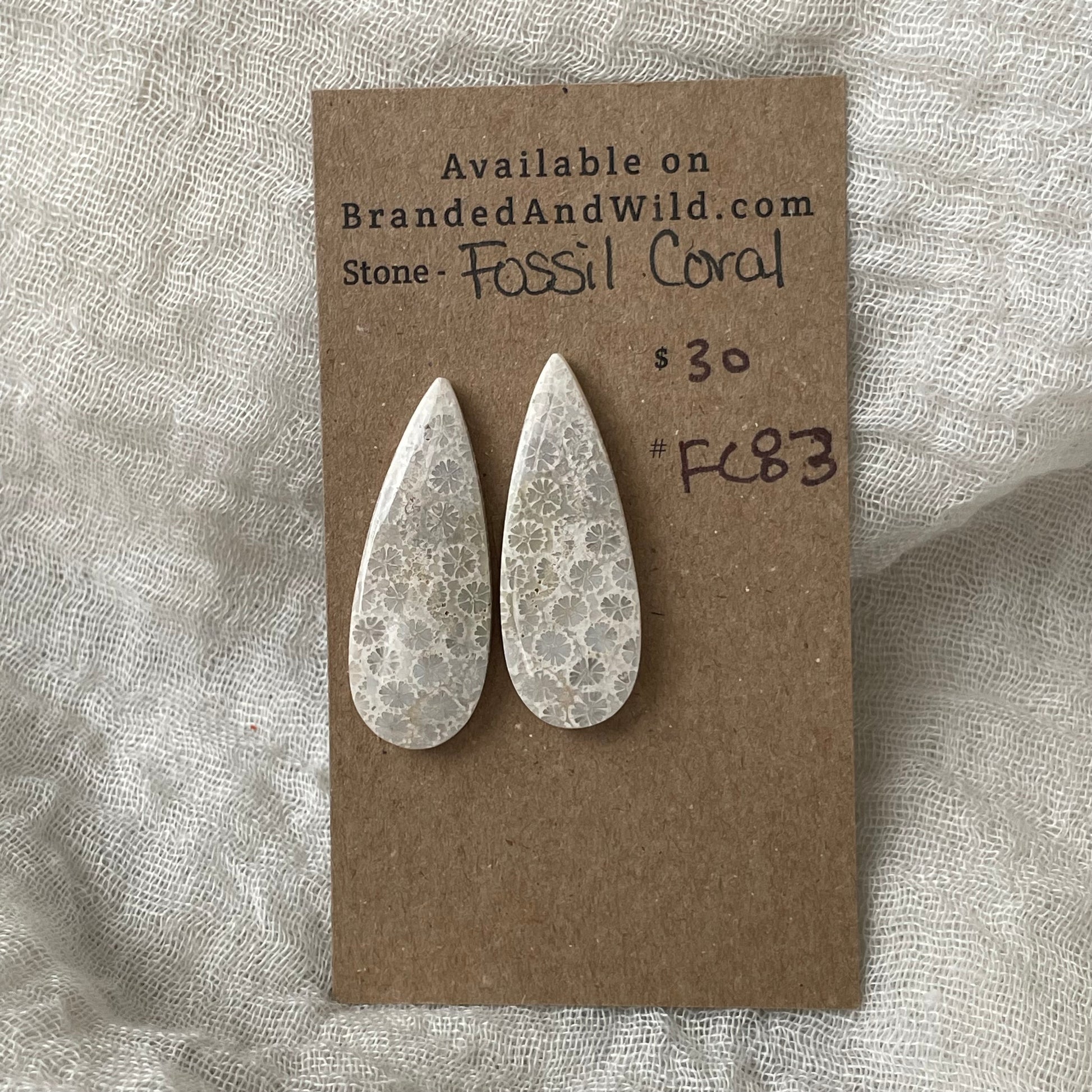 Fossil Coral Cabochon - FC83 06B8CE80-0DEB-44A4-8191-C0075D3BE790 Brandedandwild.com