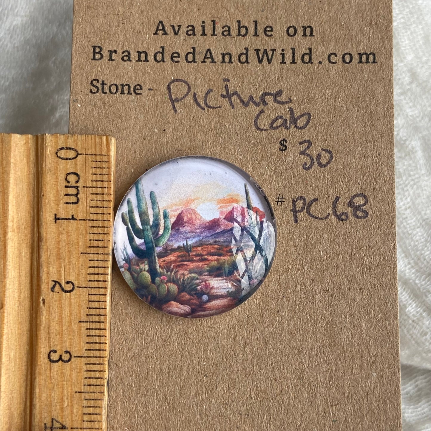Picture Cabochon - Cabochon - PC68 06BDFA60-7E92-4220-BEB5-A497B1D6E65D Brandedandwild.com