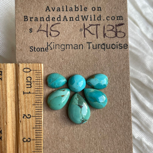 Kingman Turquoise Cabochon - KT135 06D17789-FBAF-4513-A6BD-E12306A54226 Brandedandwild.com