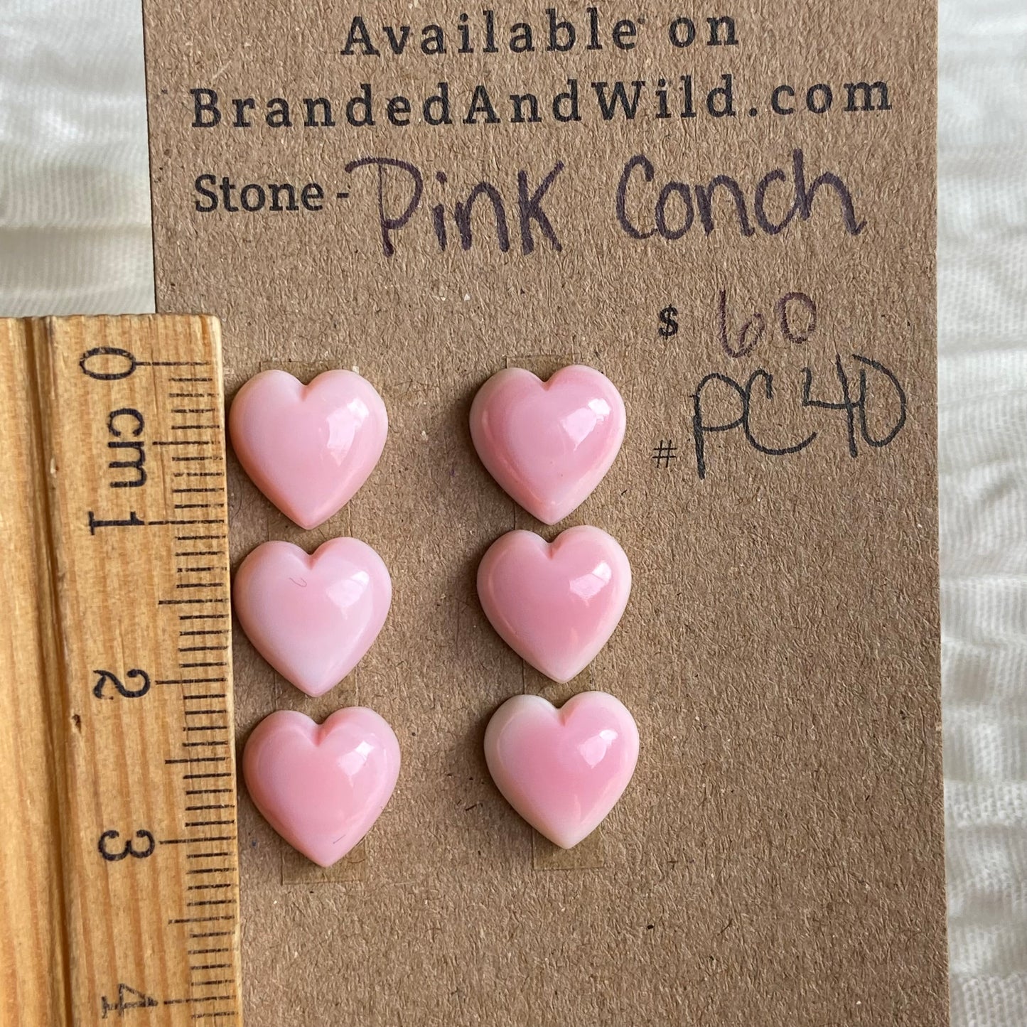 Pink Conch Cabochon - PC40 06D3138B-BE3B-4524-9DB3-71CCD9906E94 Brandedandwild.com