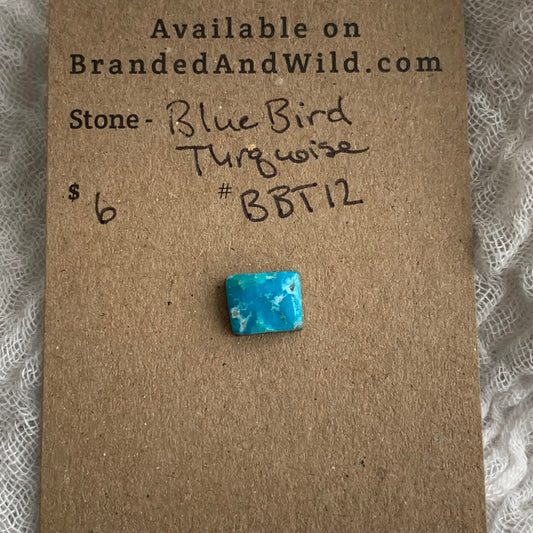 Blue Bird Turquoise Cabochon - BBT12