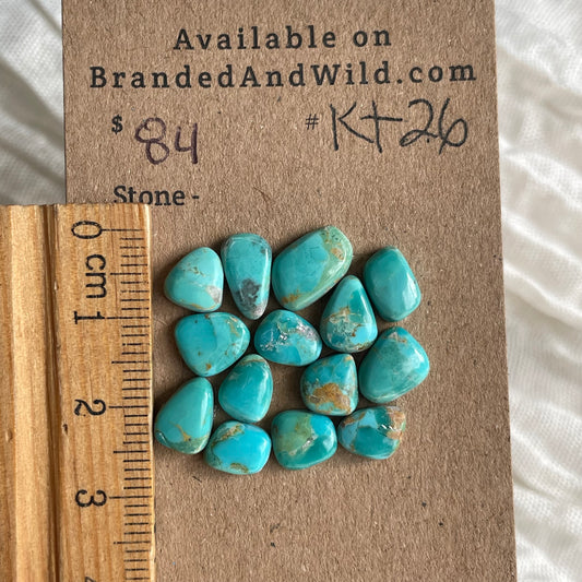 Kingman Turquoise Cabochon - KT26 06E9599F-F1CA-496A-8CC1-501A9F800341 Brandedandwild.com