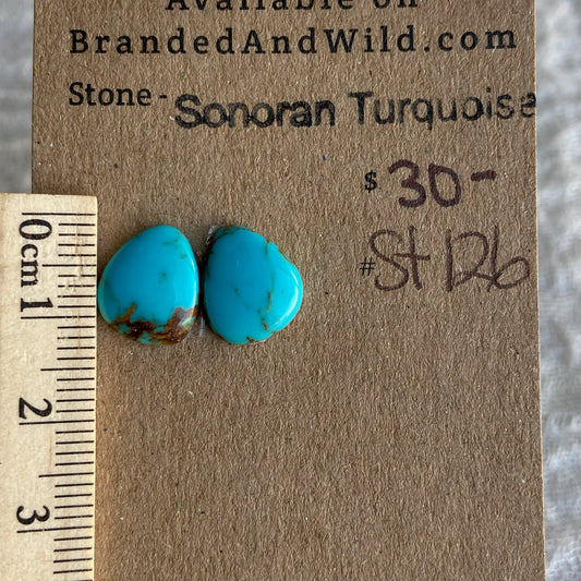 Sonoran Turquoise Cabochon - ST126