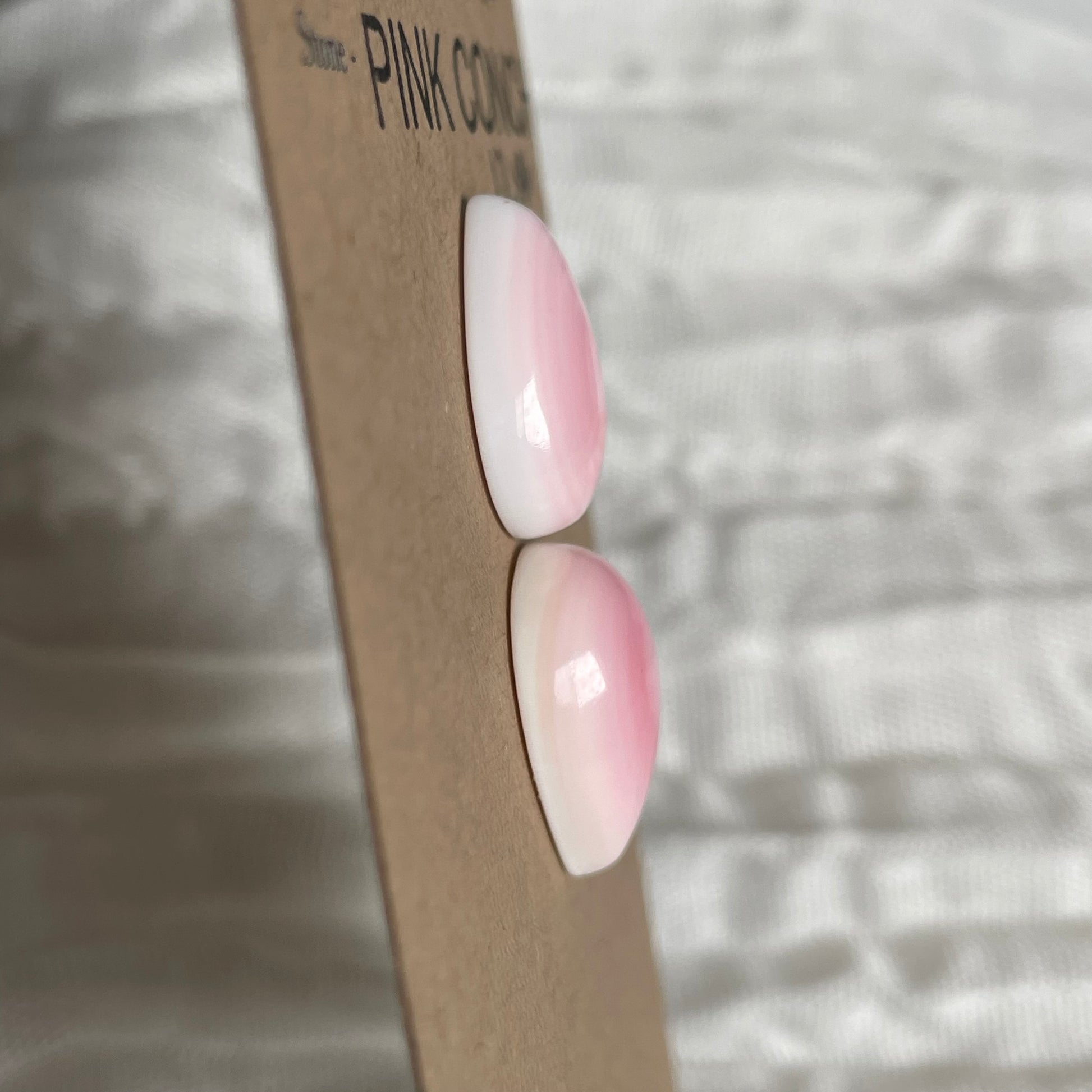 Pink Conch Cabochon - PC33 07000351-77D5-42D6-AE20-D0D273C67CC3 Brandedandwild.com