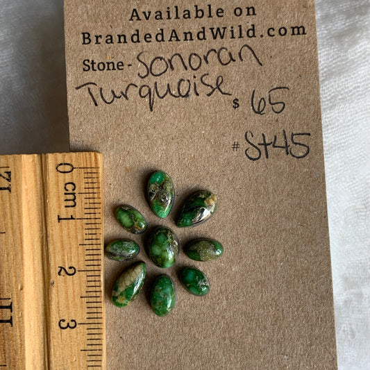 Sonoran Turquoise Cabochon - ST45