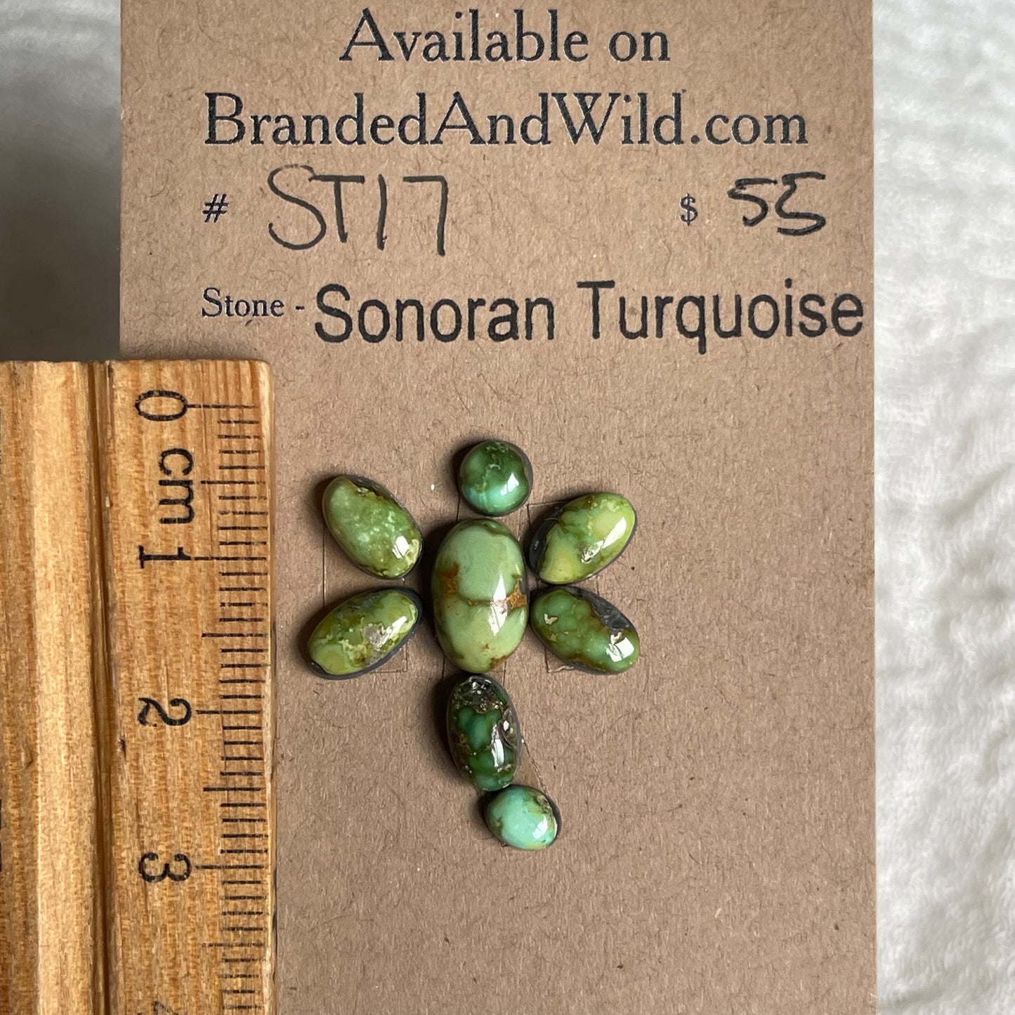 Sonoran Turquoise Cabochon - ST17