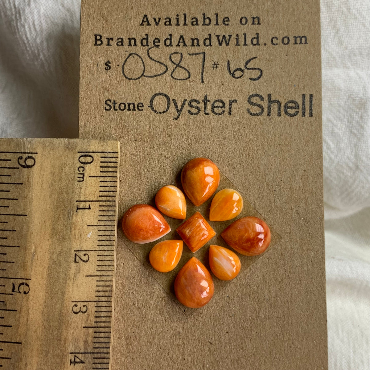 Oyster Shell Cabochon - OS87 0766C4F9-A5D9-4D84-BF41-2EB884CBF6A3 Brandedandwild.com