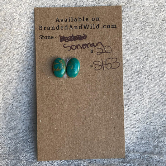 Sonoran Turquoise Cabochon - ST53
