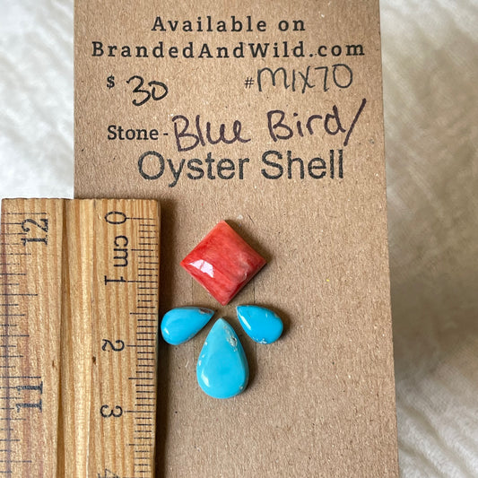Oyster Shell / Blue Bird Cabochon - Mix70 0777F7E6-CB24-4FCA-A5CA-2E7FE0934547 Brandedandwild.com