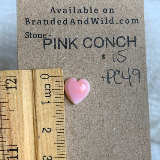 Pink Conch Cabochon - PC49