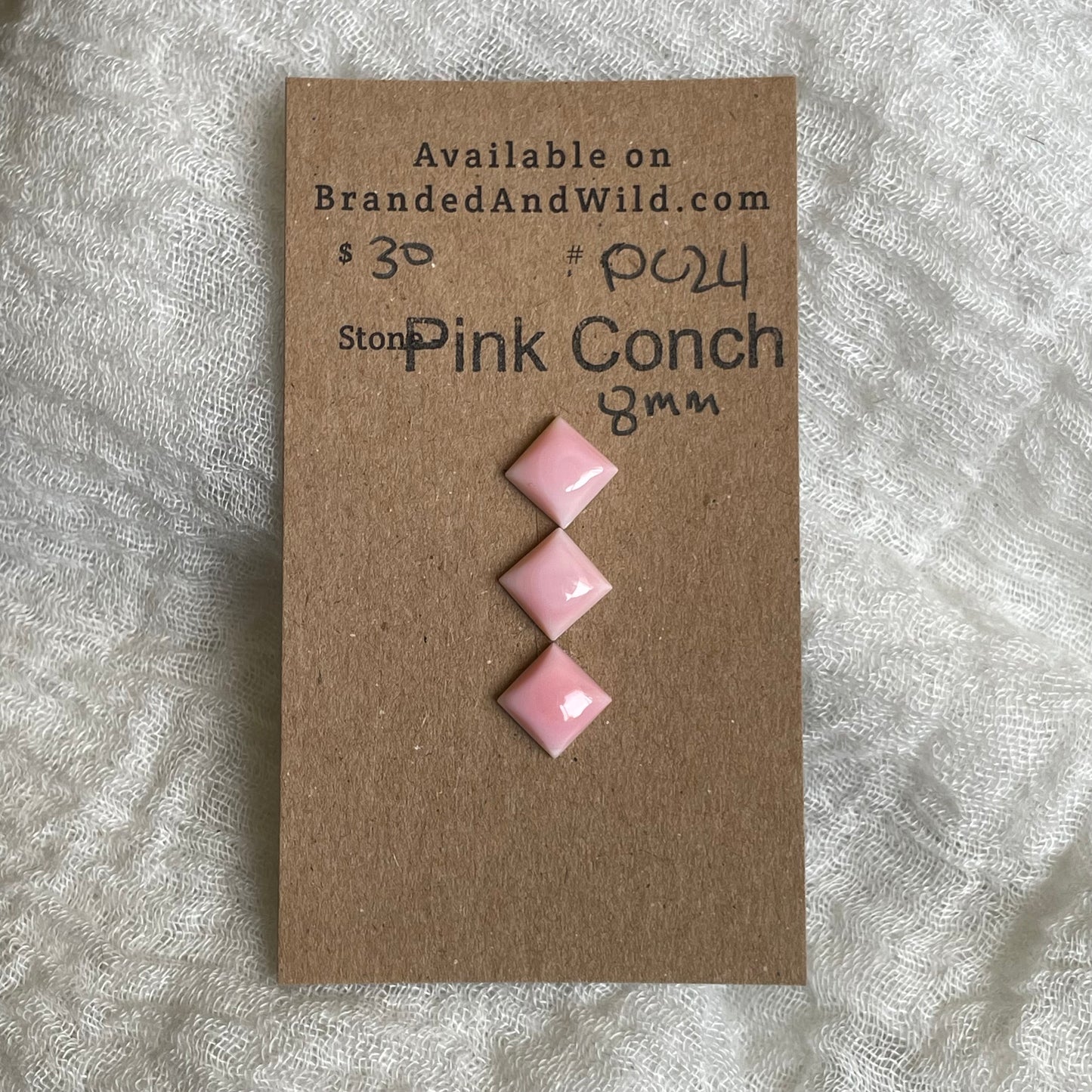 Pink Conch Cabochon - PC24