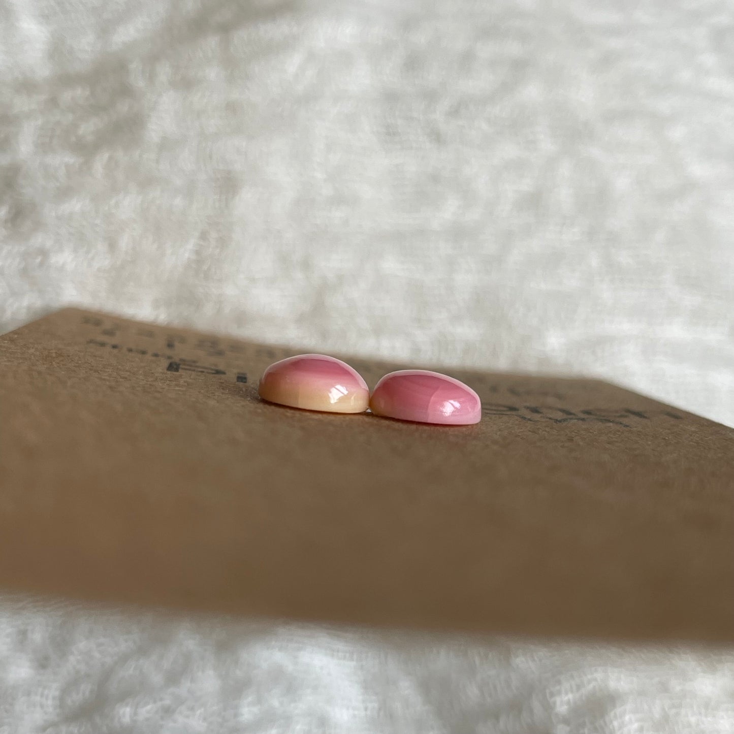 Pink Conch Cabochon - PC49
