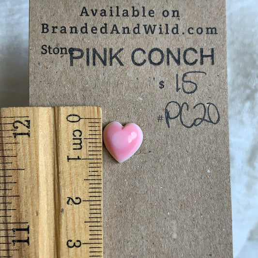 Pink Conch Cabochon - PC20