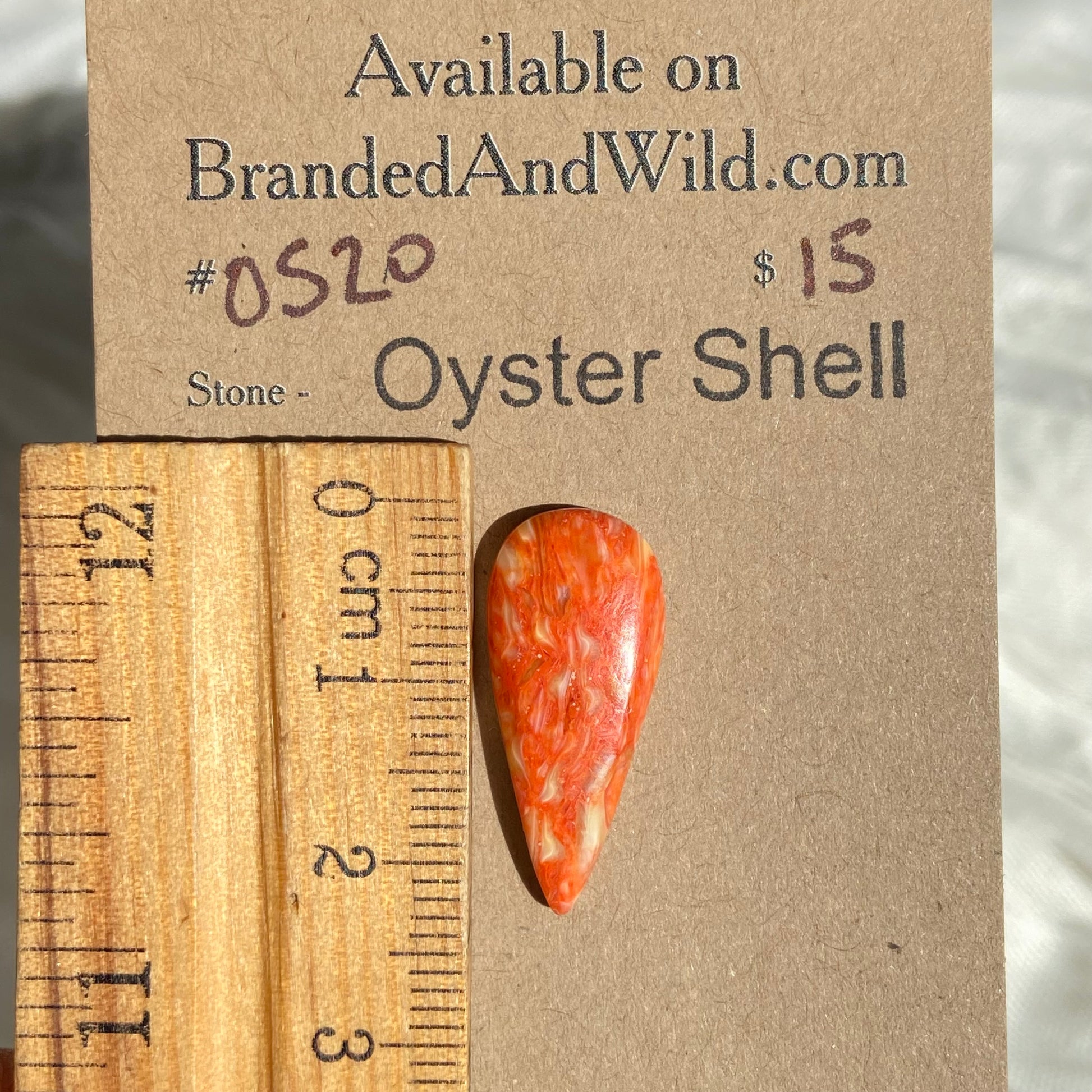 Oystershell Cabochon - OS20 0816B88B-1E94-4F3A-9778-0D8D77D17EA6 Brandedandwild.com