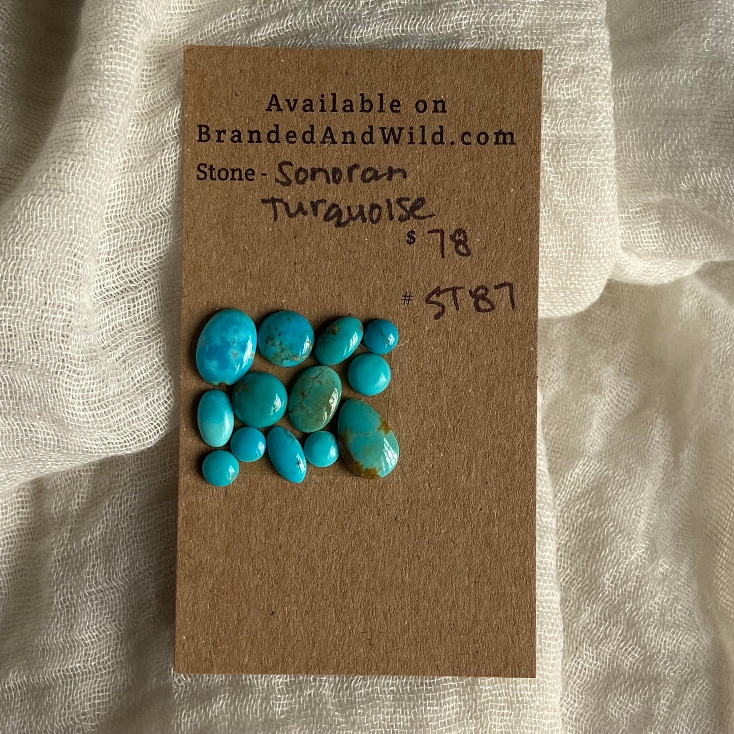 Sonoran Turquoise Cabochon - ST87