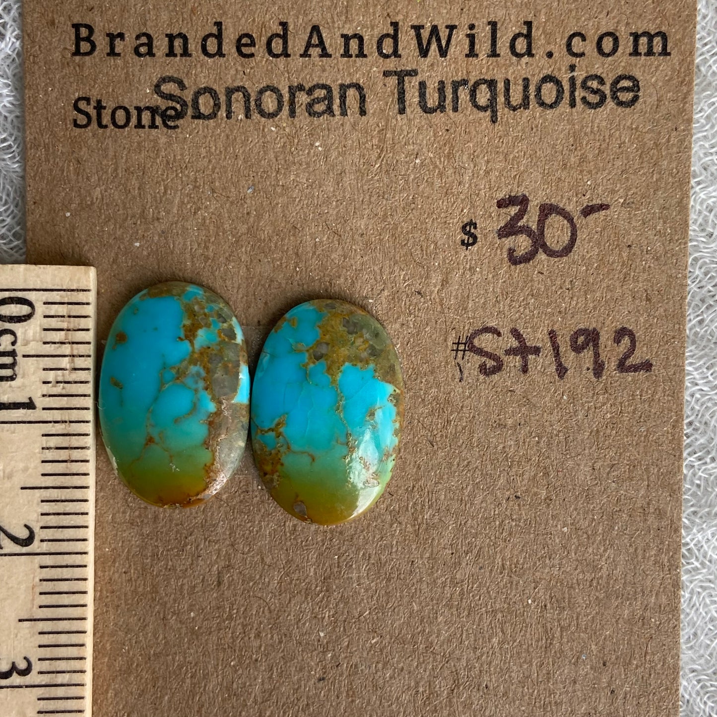 Sonoran Turquoise Cabochon - ST192