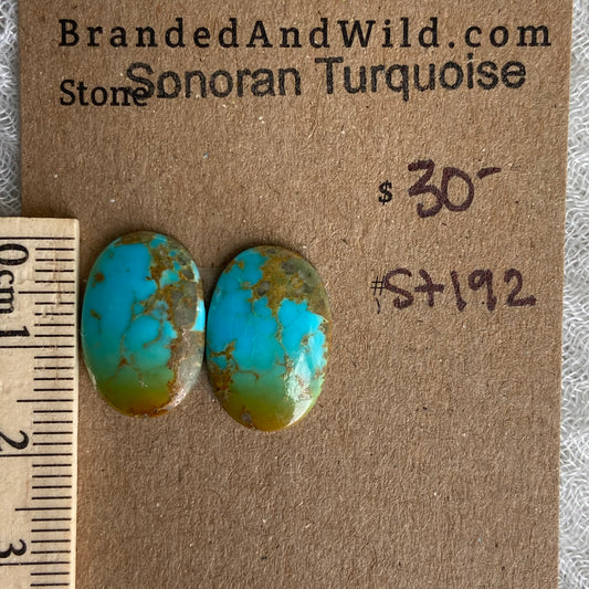 Sonoran Turquoise Cabochon - ST192