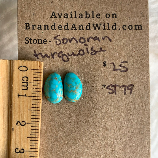 Sonoran Turquoise Cabochon - ST79