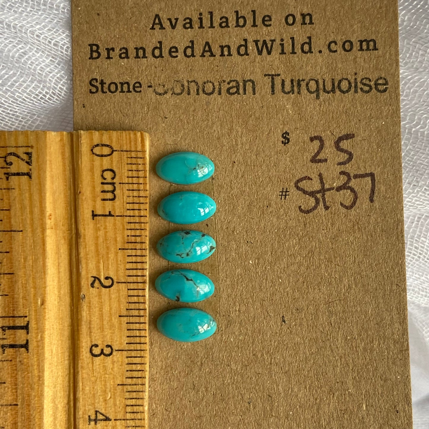 Sonoran Turquoise Cabochon - ST37