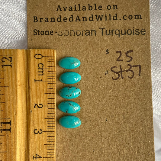 Sonoran Turquoise Cabochon - ST37
