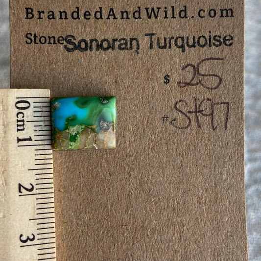 Sonoran Turquoise Cabochon - ST97