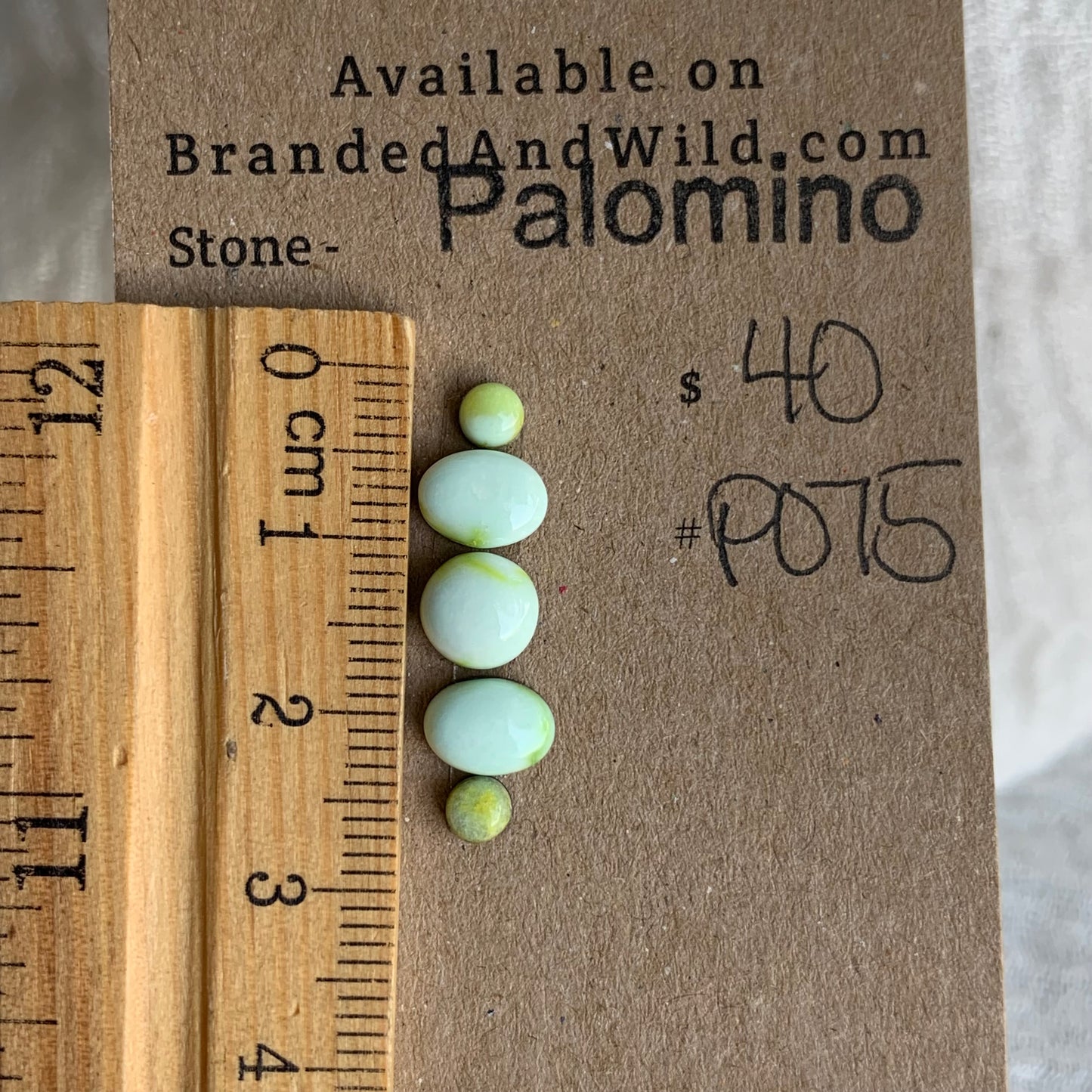 Palomino Cabochon - P075