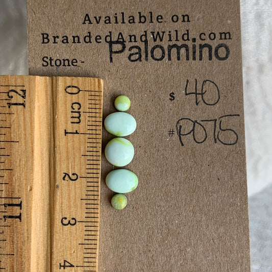 Palomino Cabochon - P075