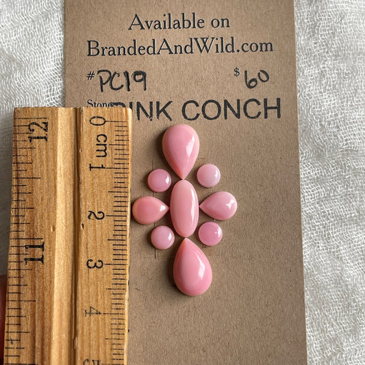 Pink Conch Cabochon - PC19 088C4A7F-D376-44D0-A802-86D8E5751344 Brandedandwild.com