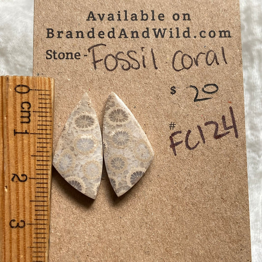 Fossil Coral Cabochon - FC124 088F8637-1551-45C4-B073-9C63CD044550 Brandedandwild.com