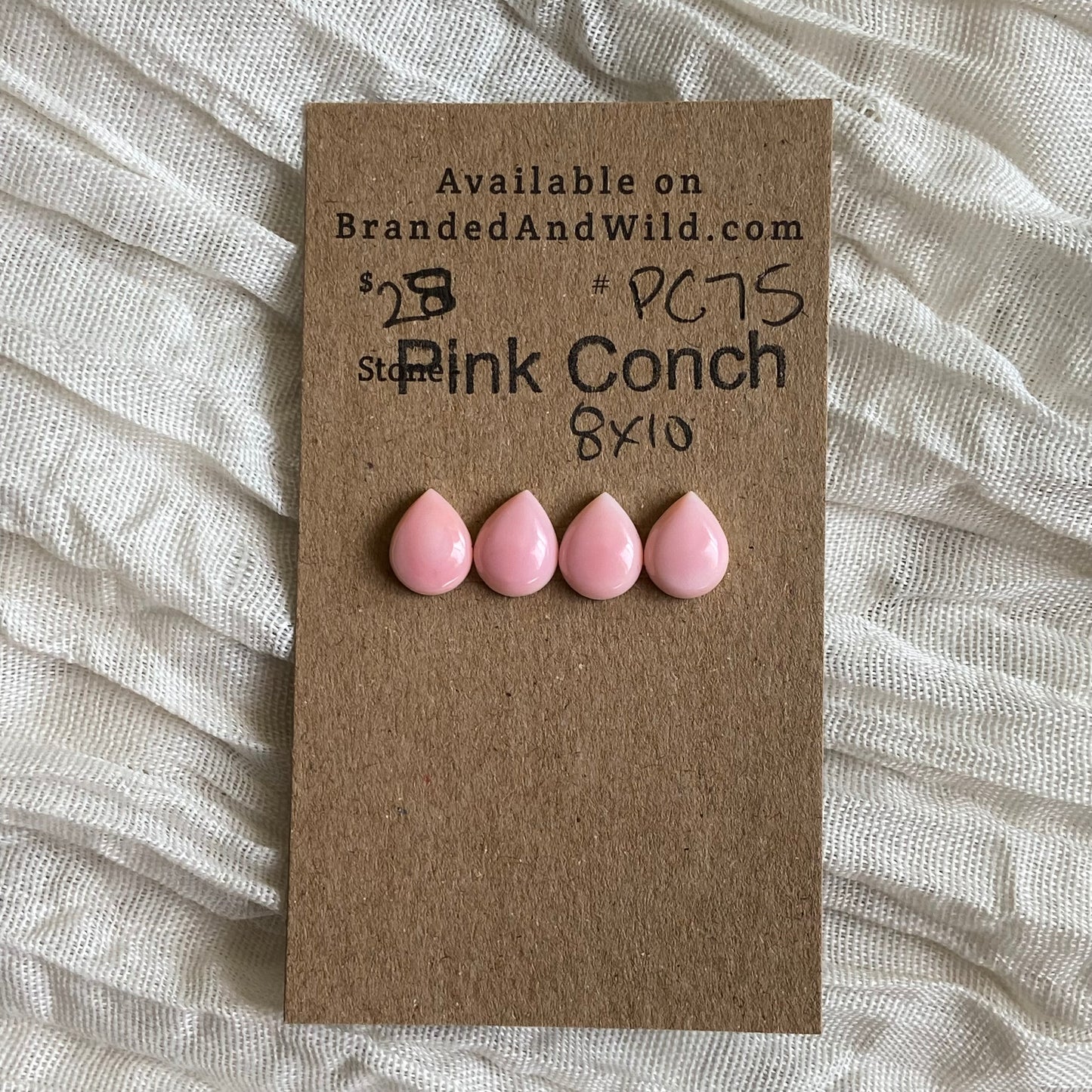 Pink Conch Cabochon - PC75