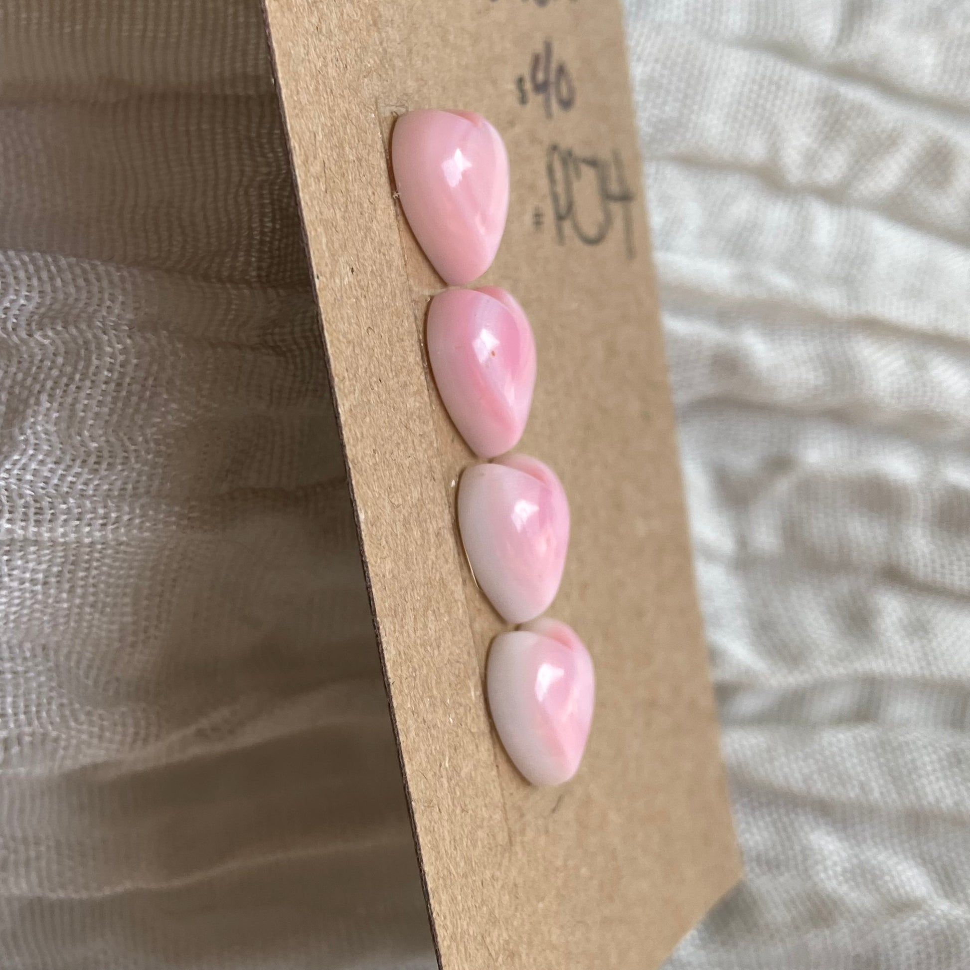 Pink Conch Cabochon - PC74 08A80118-345E-4A30-AC05-900D7CE5EE3E Brandedandwild.com