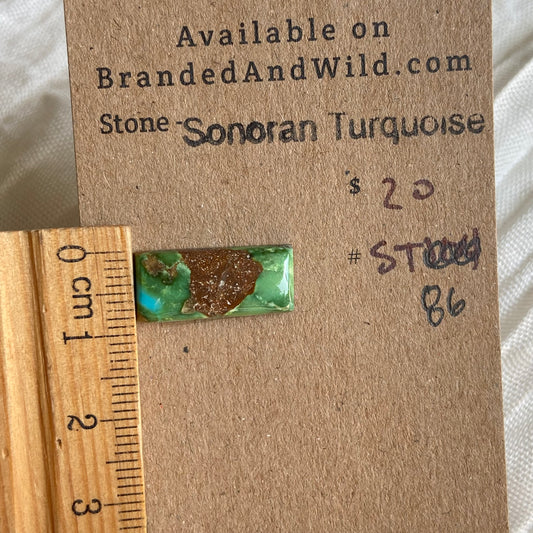 Sonoran Turquoise Cabochon - ST86 08A94DDC-F055-4A99-BB26-4B0DCEAED015 Brandedandwild.com