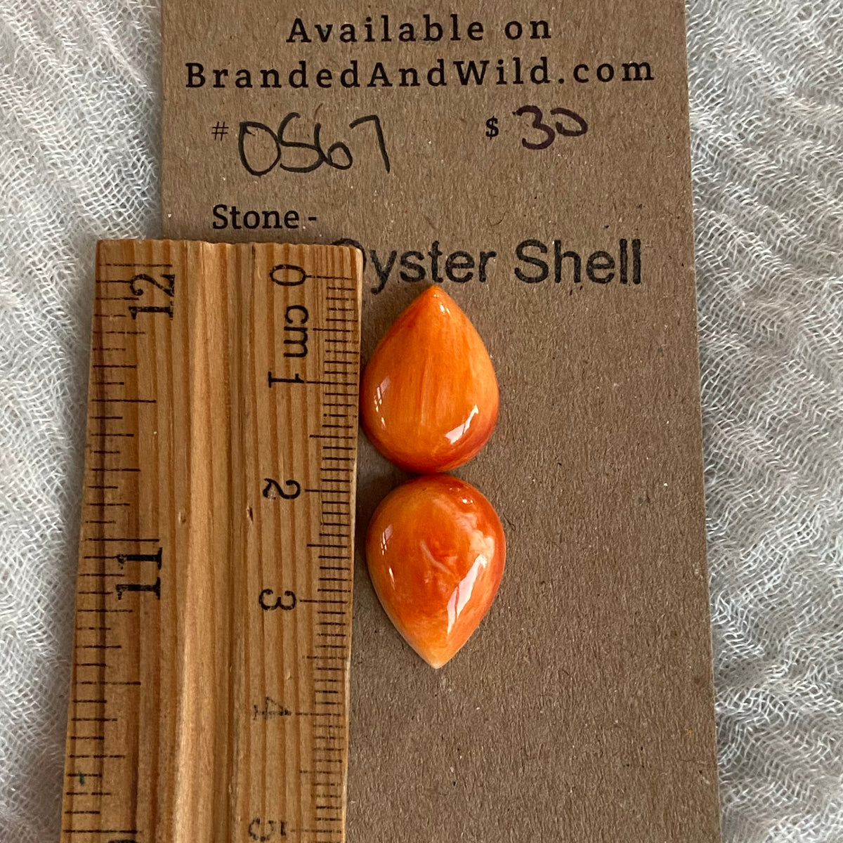 Oyster Shell Cabochon - OS67