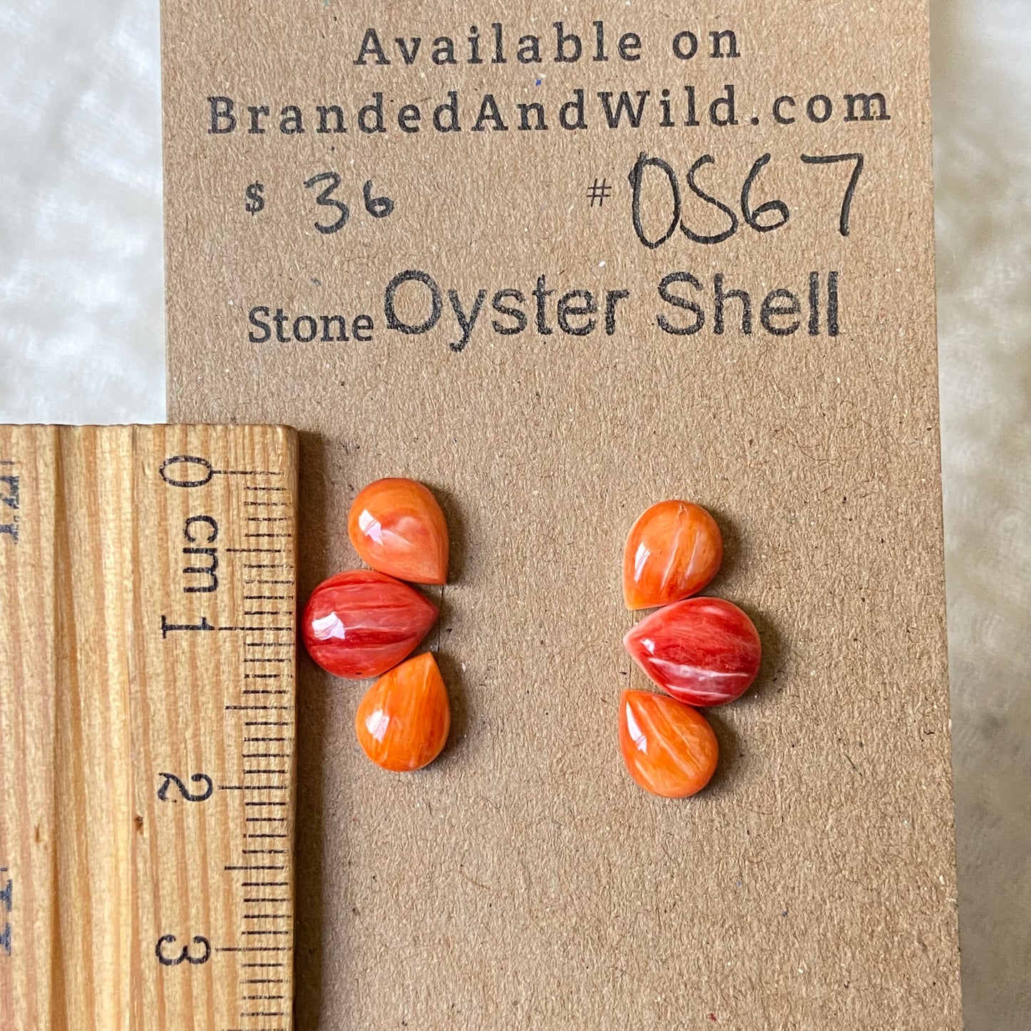 Oystershell Cabochon - OS67 08DD03BC-0CDD-4C9D-AC9B-7A65A686B126 Brandedandwild.com