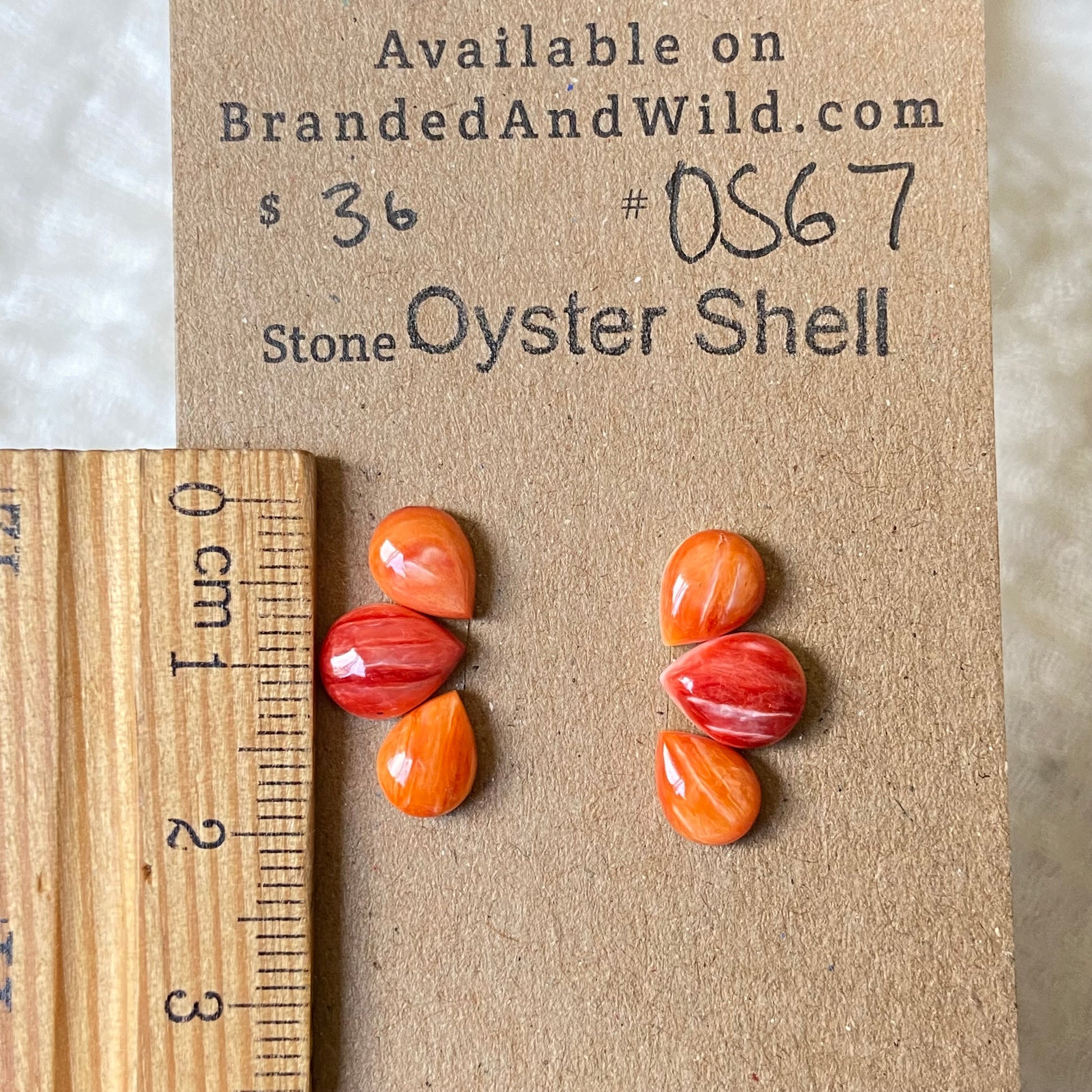 Oystershell Cabochon - OS67 08DD03BC-0CDD-4C9D-AC9B-7A65A686B126 Brandedandwild.com