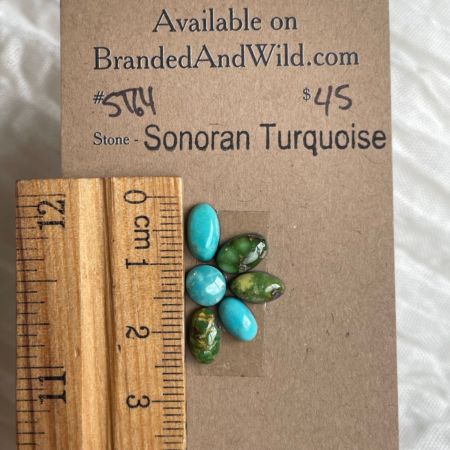 Sonoran Turquoise Cabochon - ST64 08F6B5E3-6844-4F0D-BE54-540FB48B9511 Brandedandwild.com