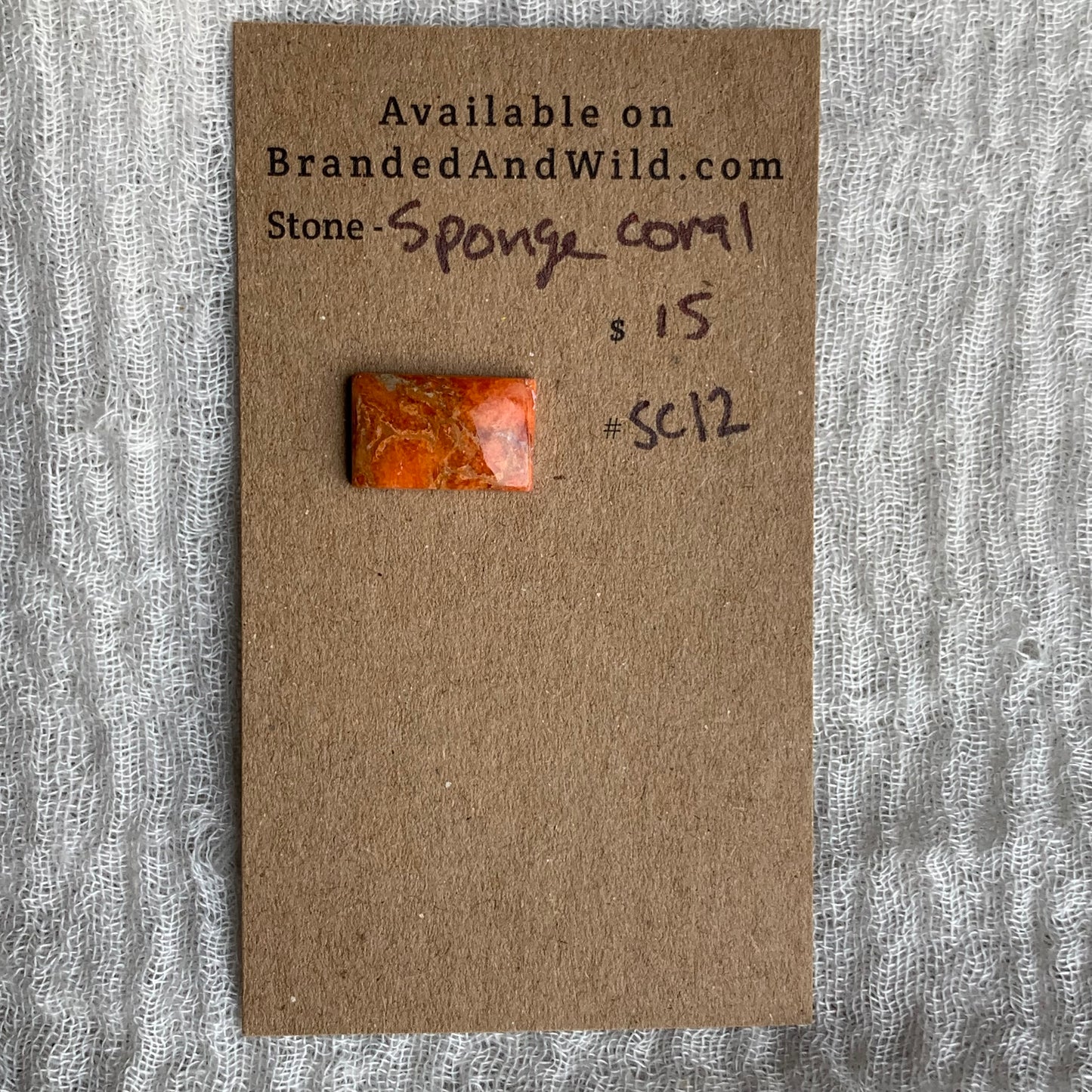 Sponge Coral Cabochon - SC12