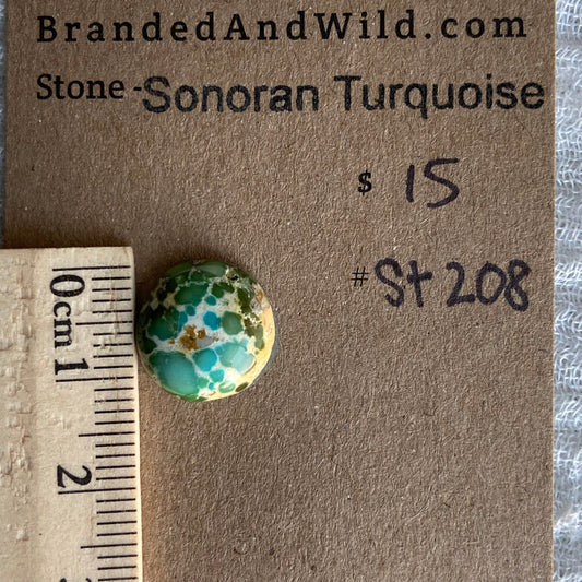 Sonoran Turquoise Cabochon - ST208