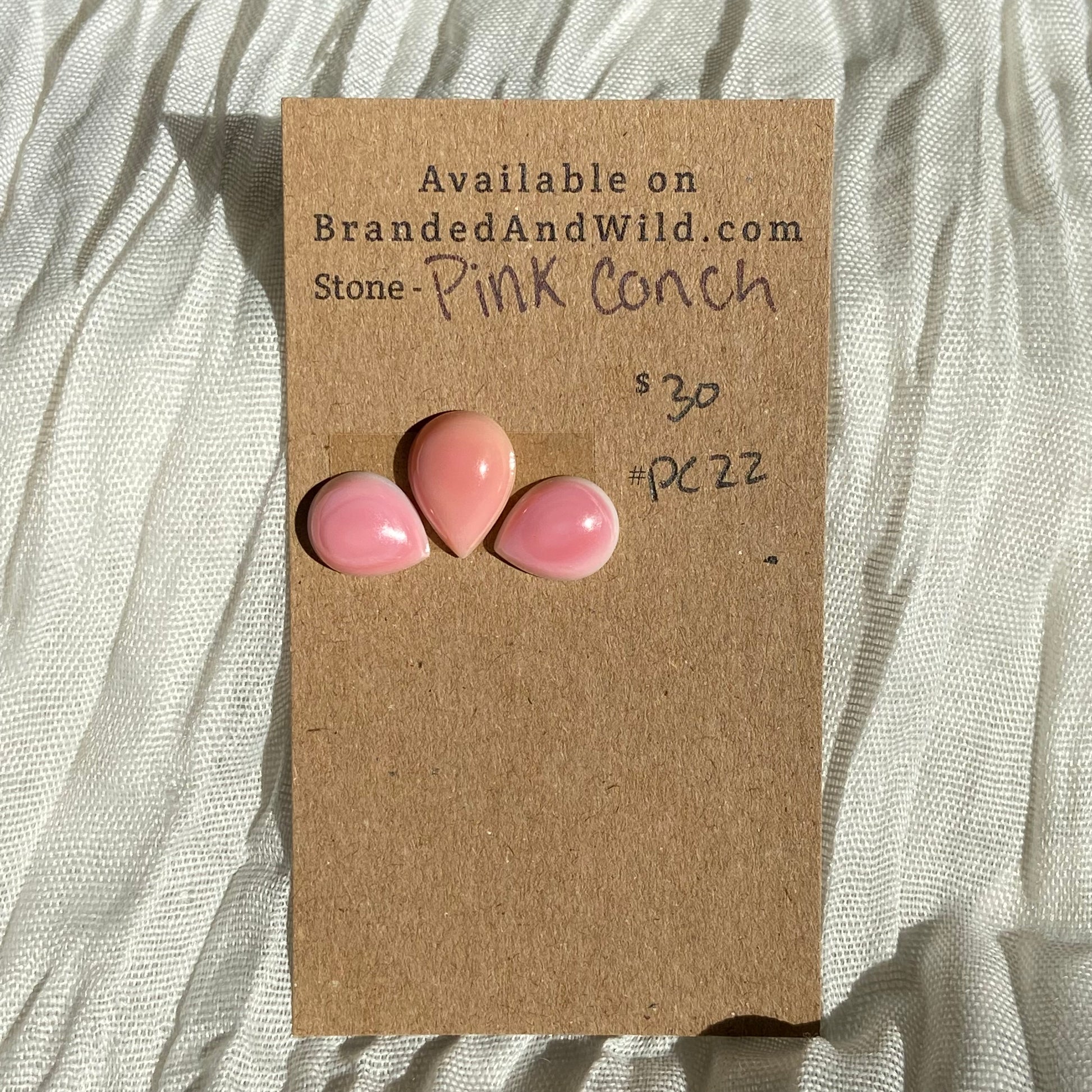 Pink Conch Cabochon - PC22 090B2ACE-C053-4D1D-84F2-8EAEF1A692AA Brandedandwild.com