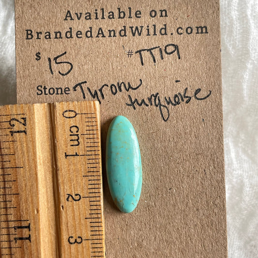 Tyrone Turquoise Cabochon - TT19 09319999-E8E5-49B0-B8B1-78CB348D4880 Brandedandwild.com