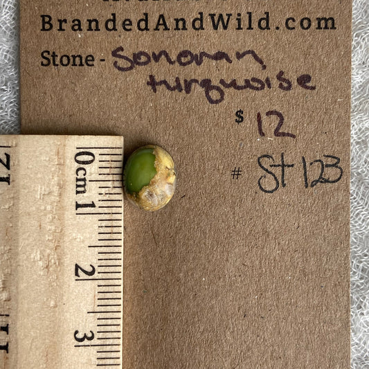 Sonoran Turquoise Cabochon - ST123