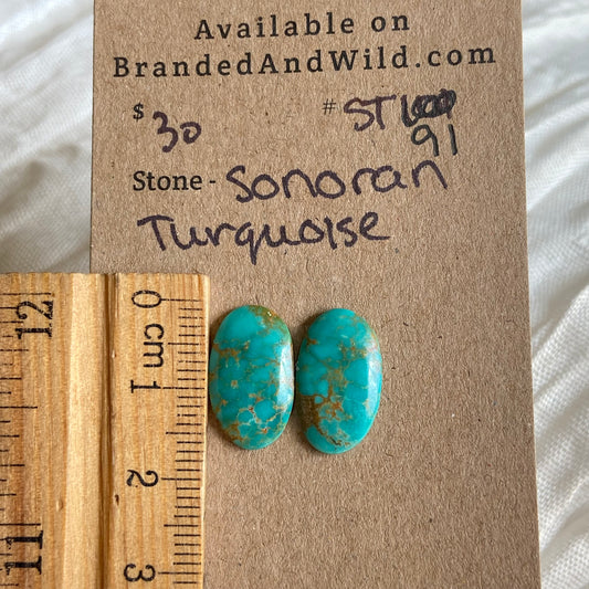 Sonoran Turquoise Cabochon - ST91 09C09532-D2D0-4046-8685-14C7B7EE3A70 Brandedandwild.com