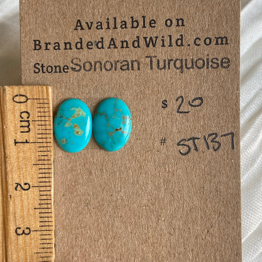Sonoran Turquoise Cabochon - ST137 09C19E3E-D488-400D-9AA9-19636B44035E Brandedandwild.com