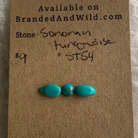 Sonoran Turquoise Cabochon - ST54