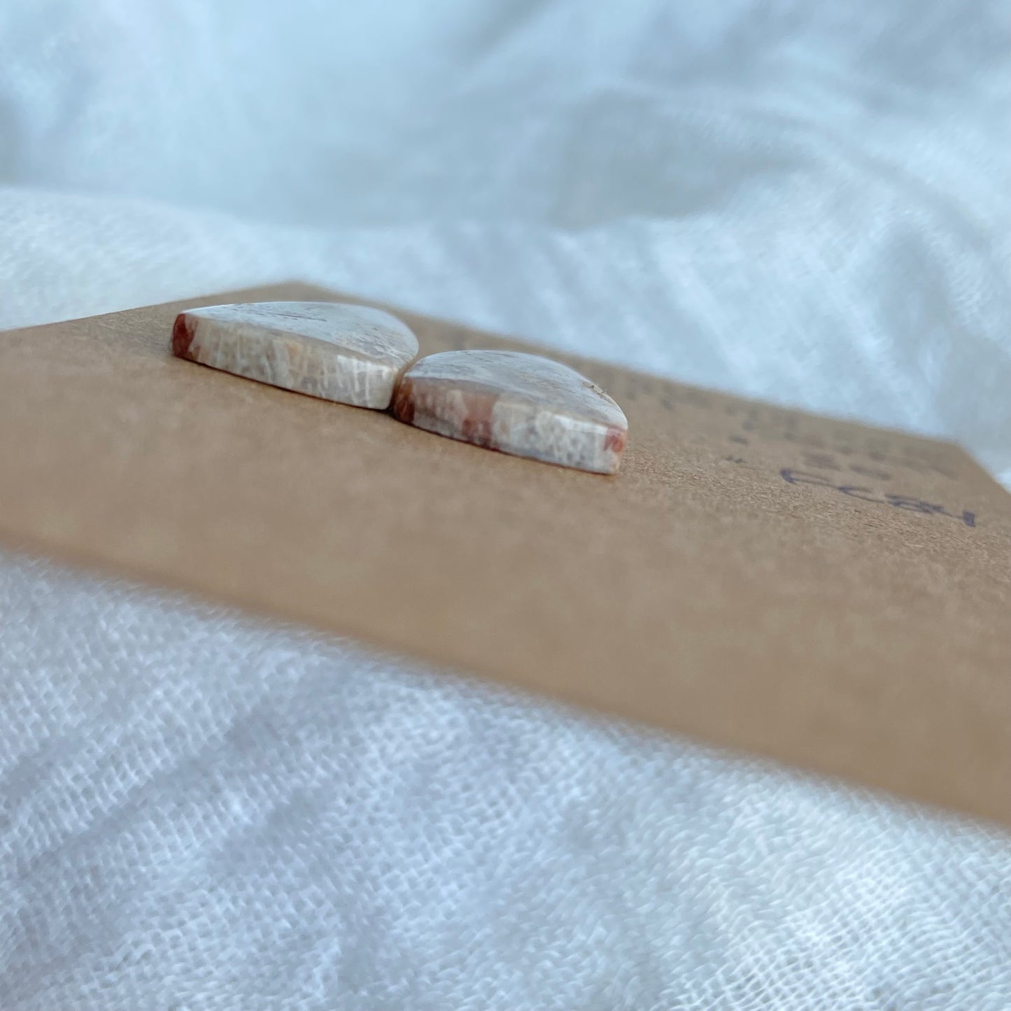 Fossil Coral Cabochon - FC86